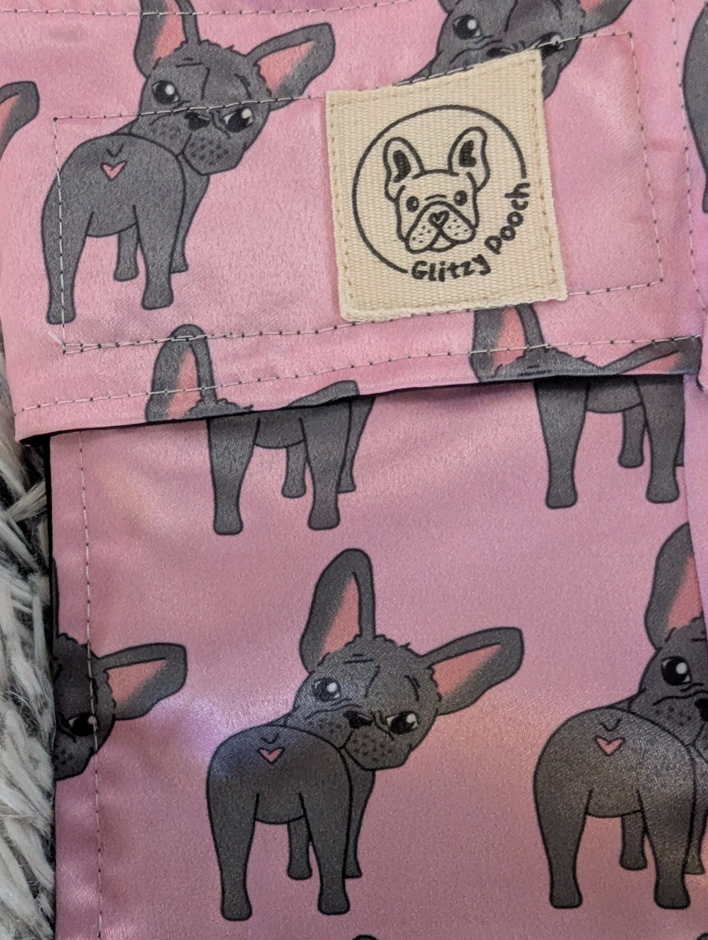 French Bulldog 10/15kh