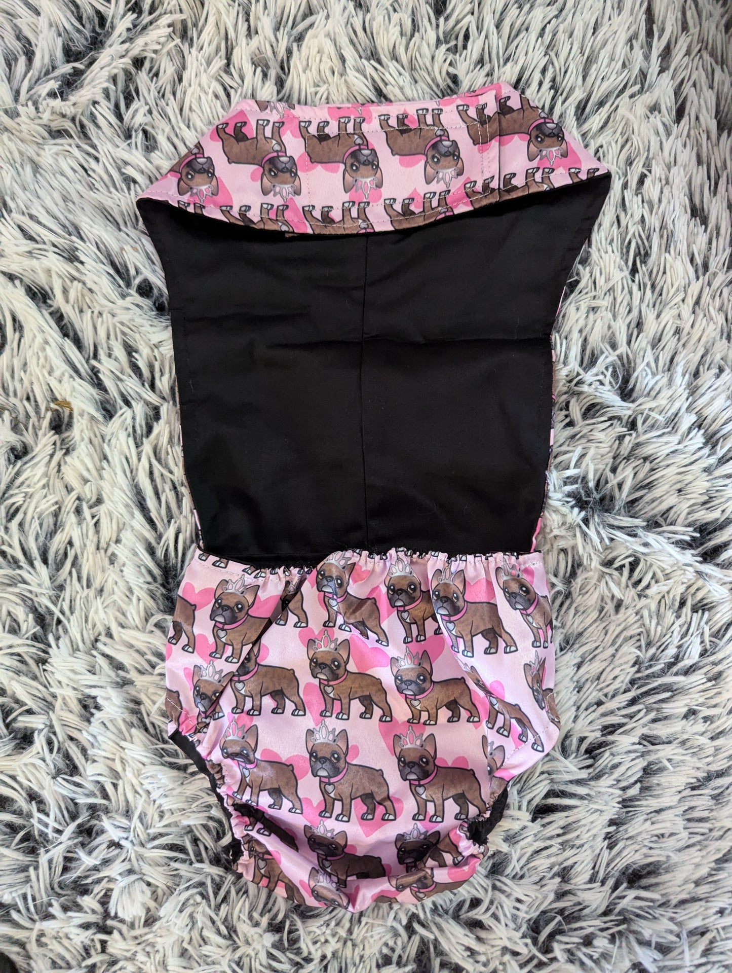 French Bulldog 10kg