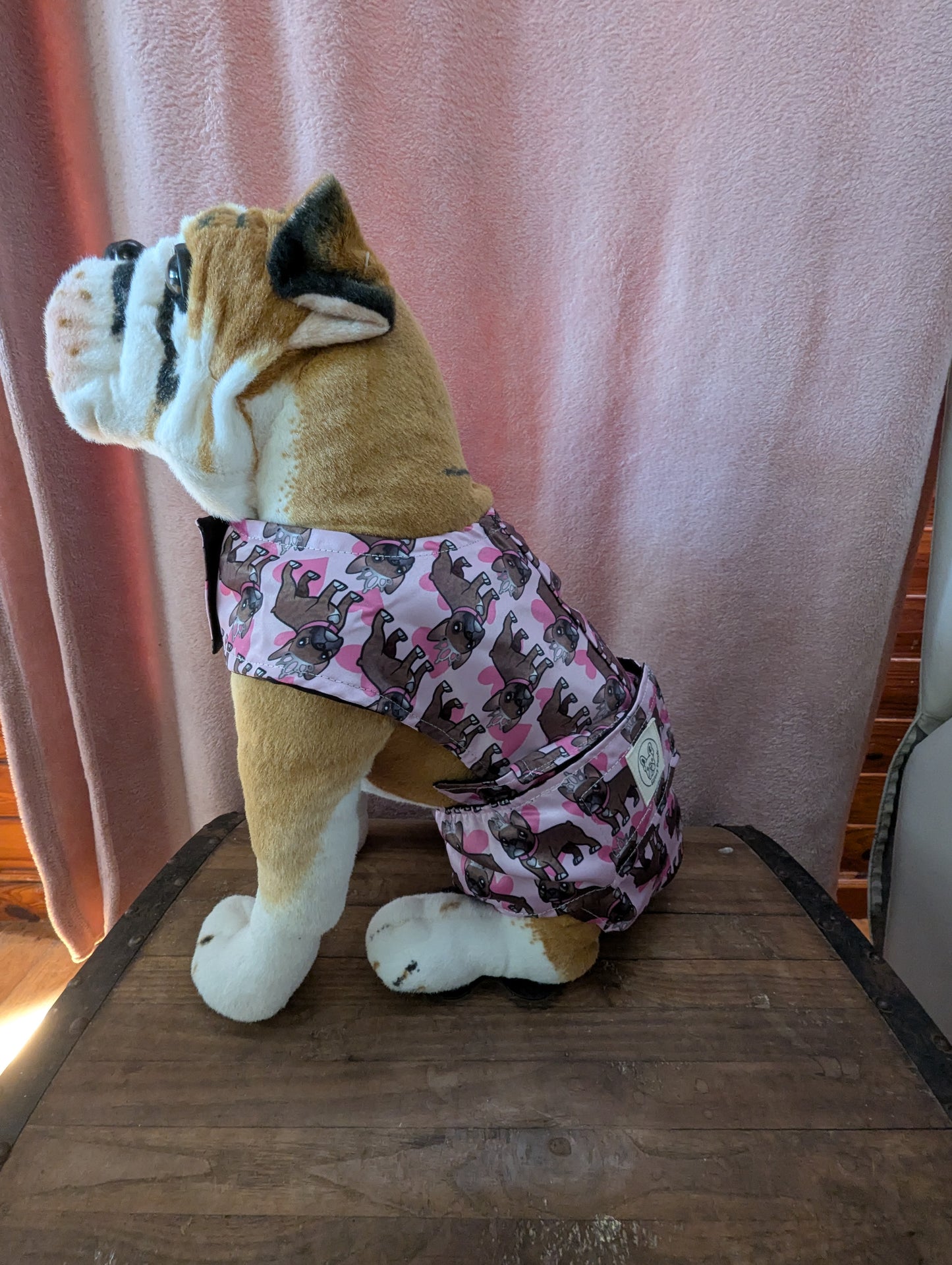 French Bulldog 10kg