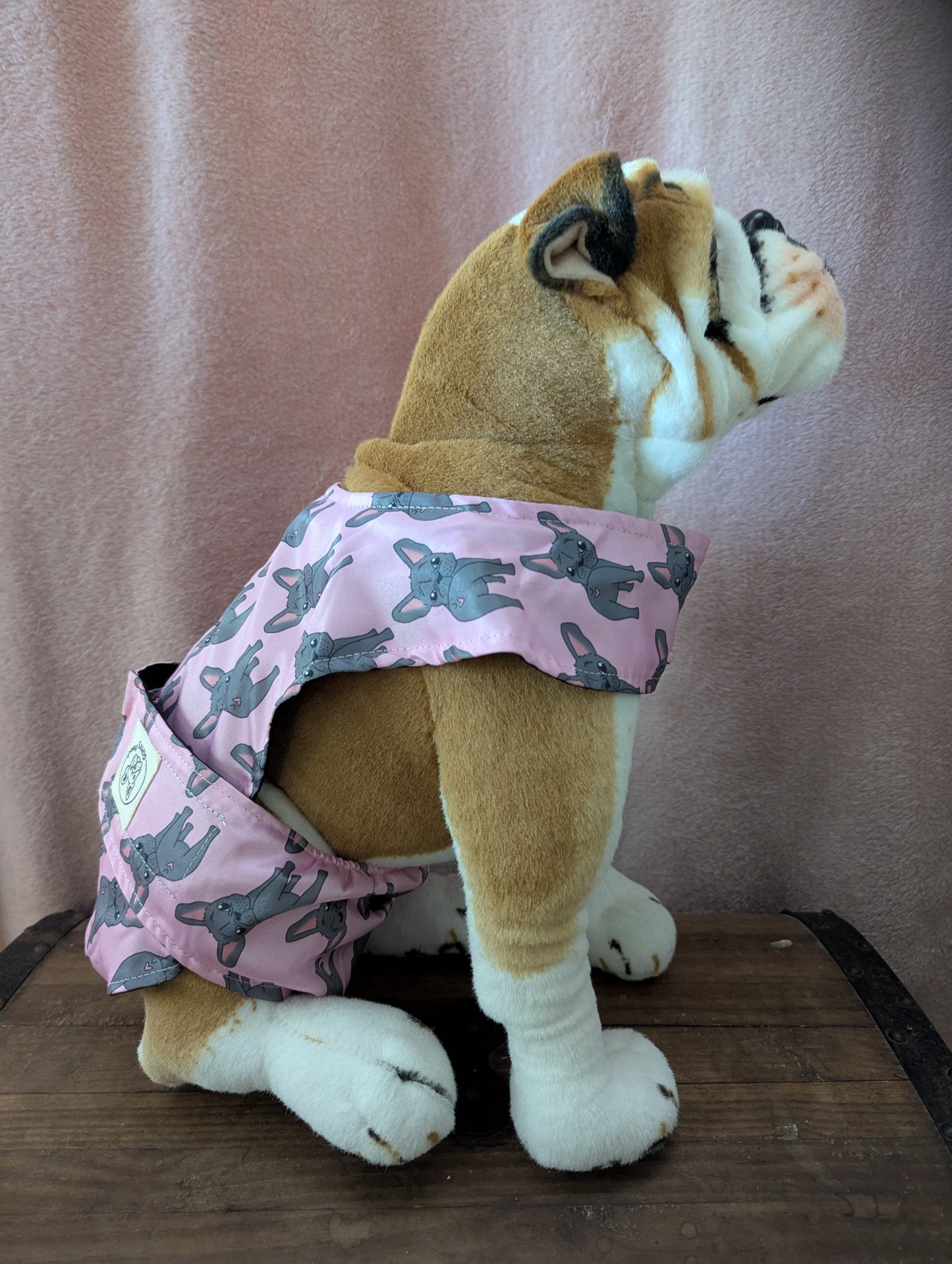 French Bulldog 10kg