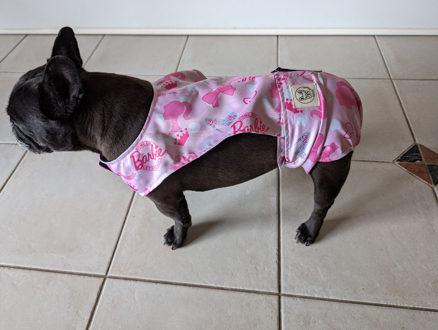 French Bulldog 10kg