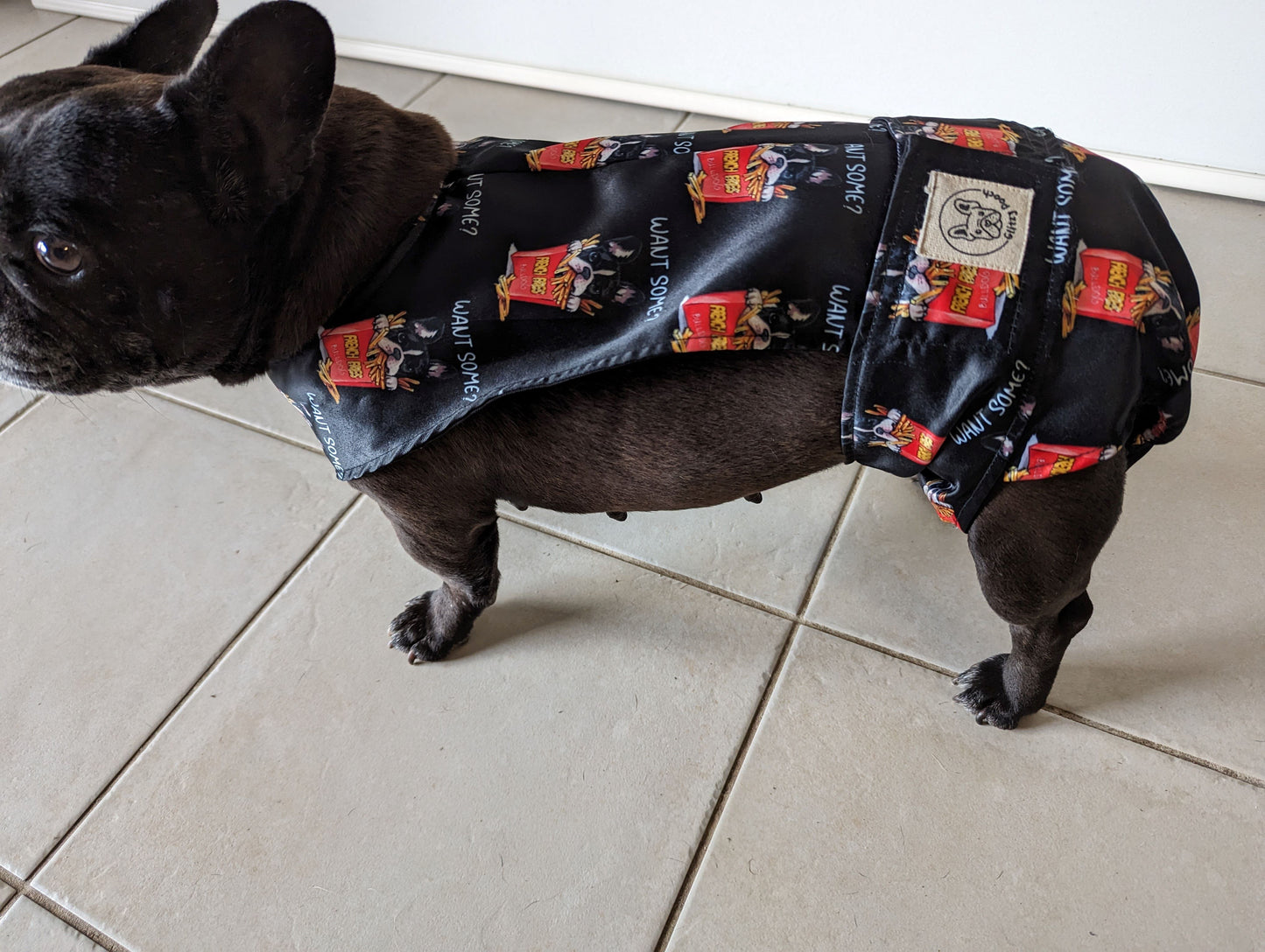 French Bulldog 10kg